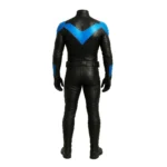 blue nightwing
